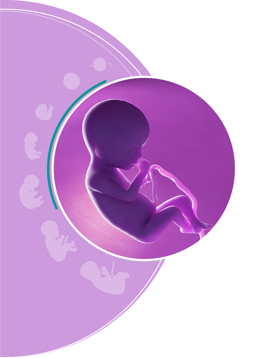 Transparent Image