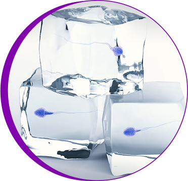 Transparent Image
